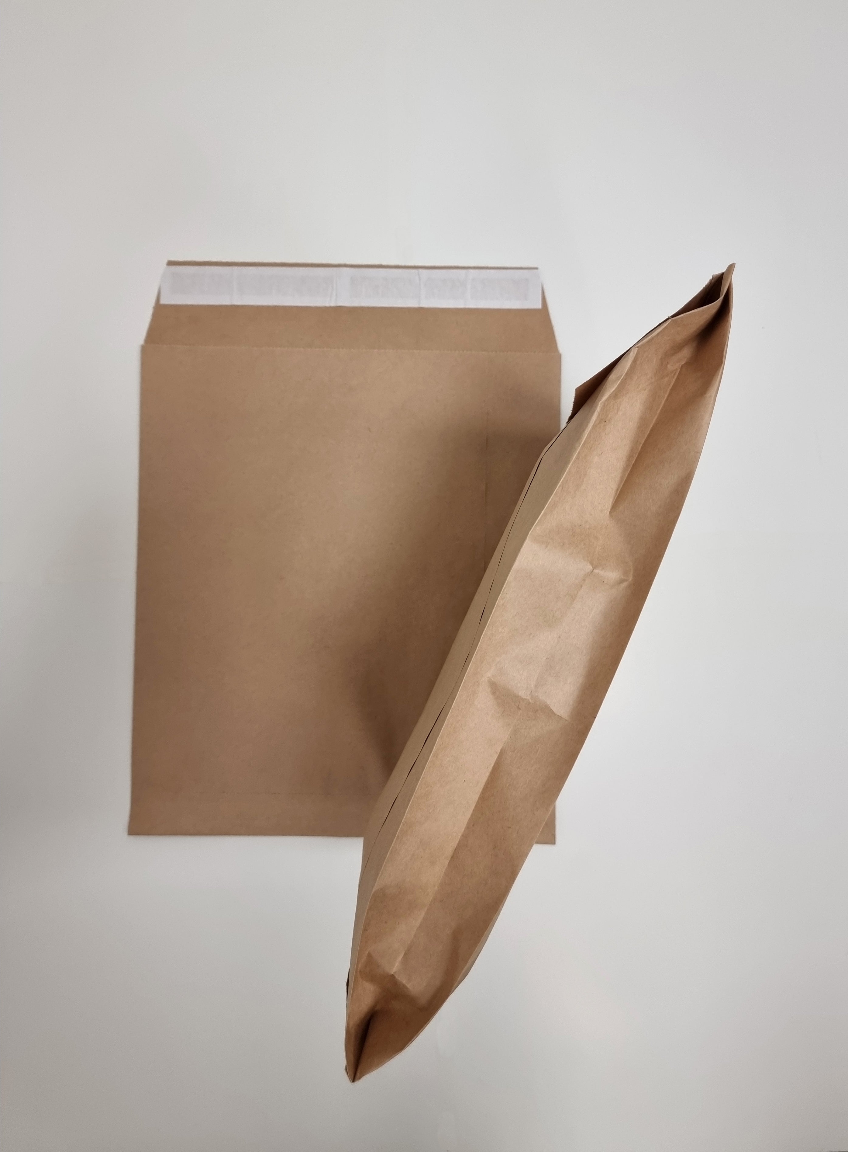 Returnable Paper Mailing bag - 2 peel strips 250 x 50 x 325mm + 80mm Lip | Pack of 50