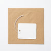 Plastic Round Cornered Tags 110 x 55mm 250mu white with cotton string